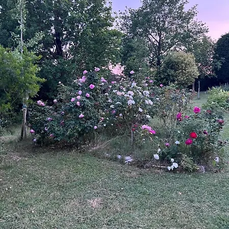 Hospitality Gp F1 Imola Maggio 2023 Homestay szállás